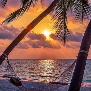 Meet your Posher, Yolonda